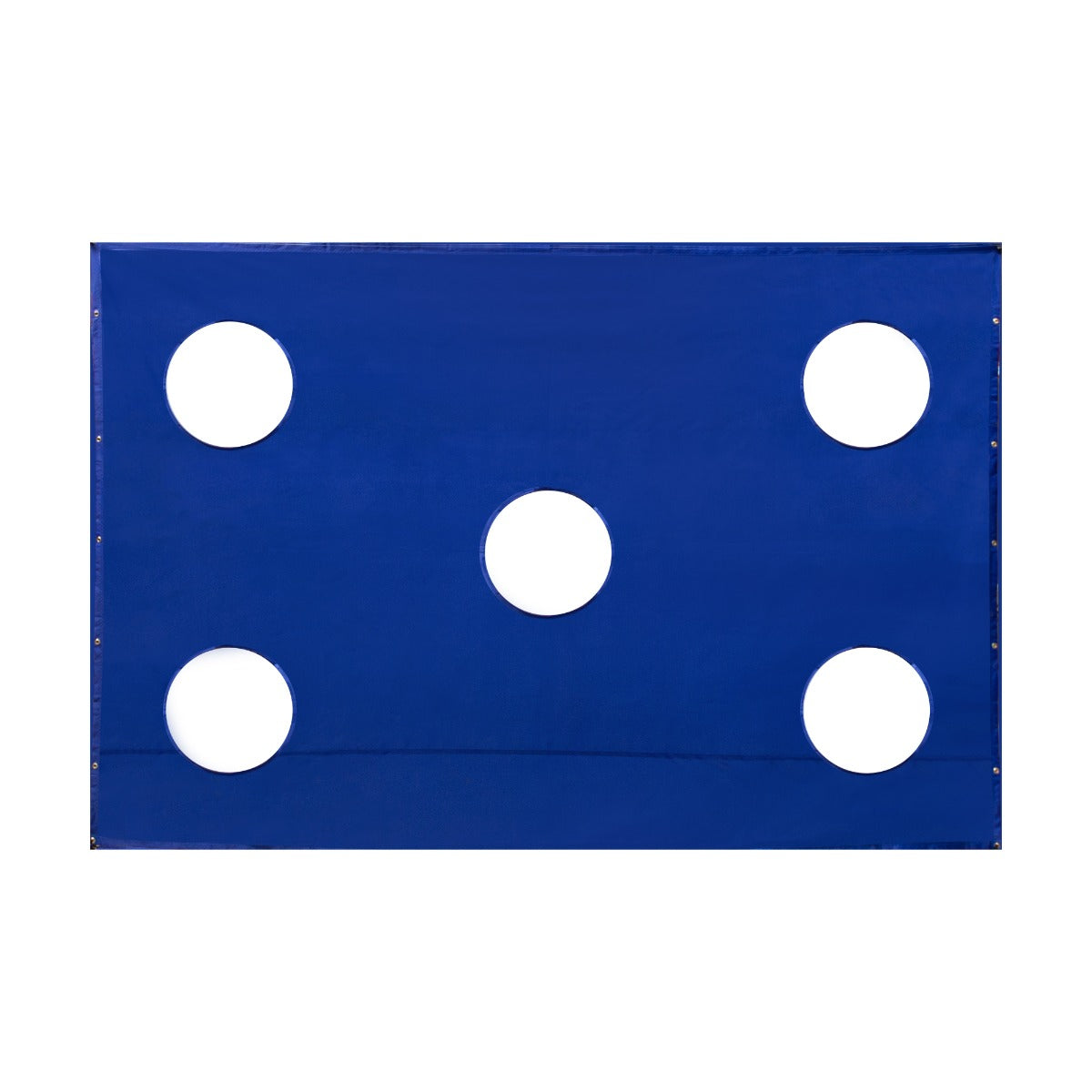 Blauw voetbaldoel doelwitdoek van 12 x 6 ft met vijf ronde schietgaten voor precisietraining en doelgerichtheid