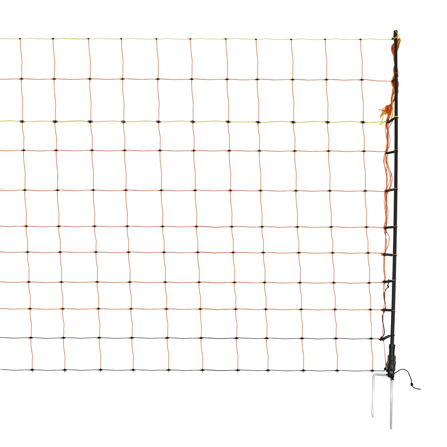 Hek Energiser & Net voor Pluimvee - 50m