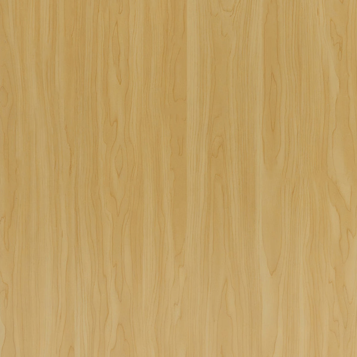 Winkel Toonbank Kassabalie TB60 - Esdoorn