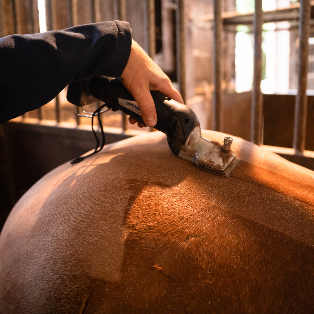 Zwarte draadloze paardentondeuse in gebruik op de vacht van een bruin paard, met een focus op de gladde, glanzende textuur