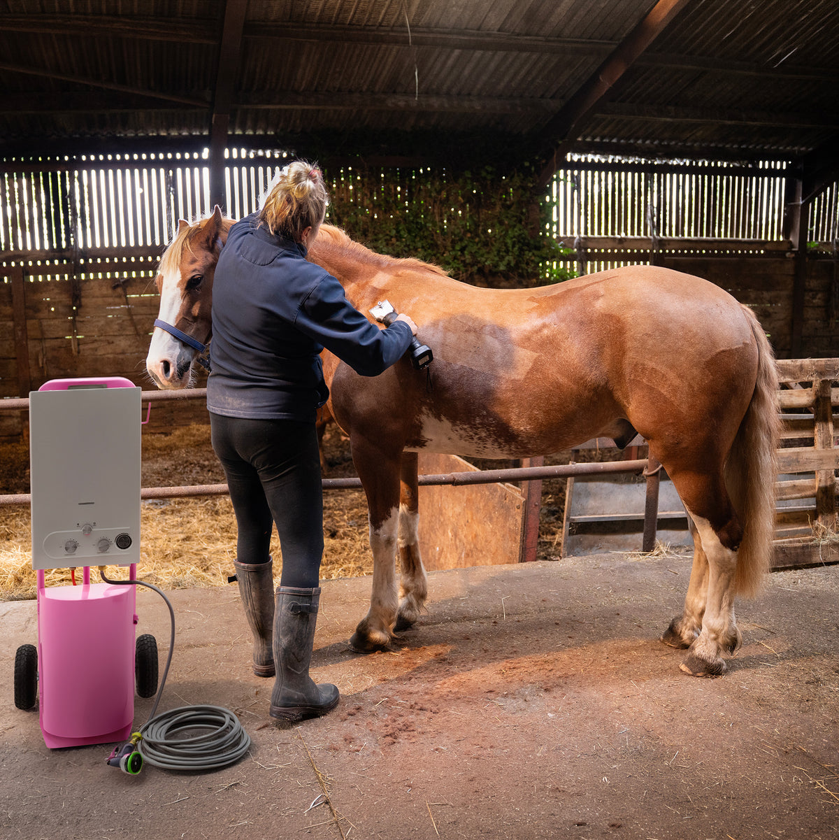 Roze draadloze tondeuse in gebruik op een bruin paard in een stal, met een vrouw die het paard verzorgt en borstelt