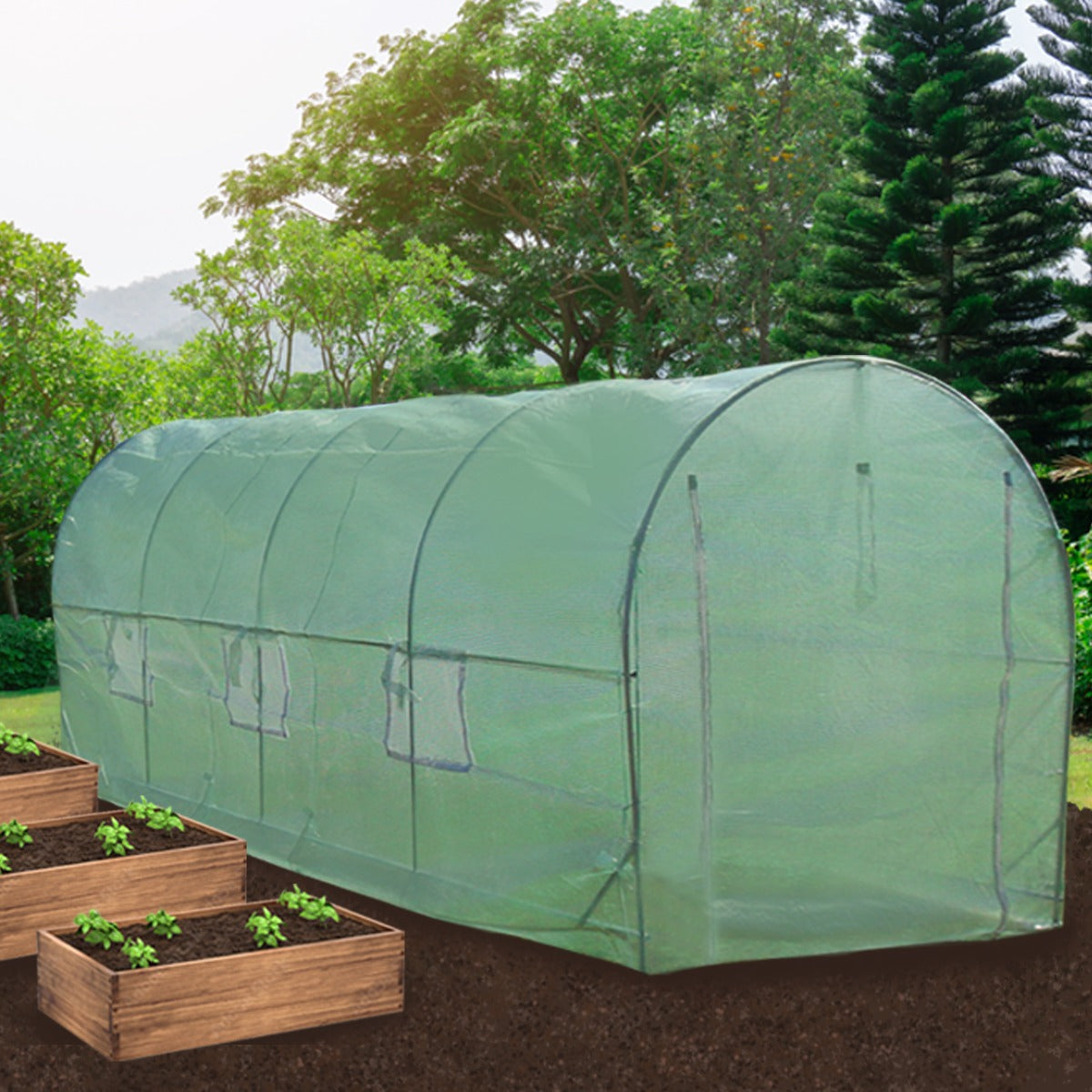 Polytunnel 25mm 6m x 3m met Stellingen