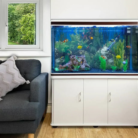 Breng je kamer tot leven met een modern aquarium