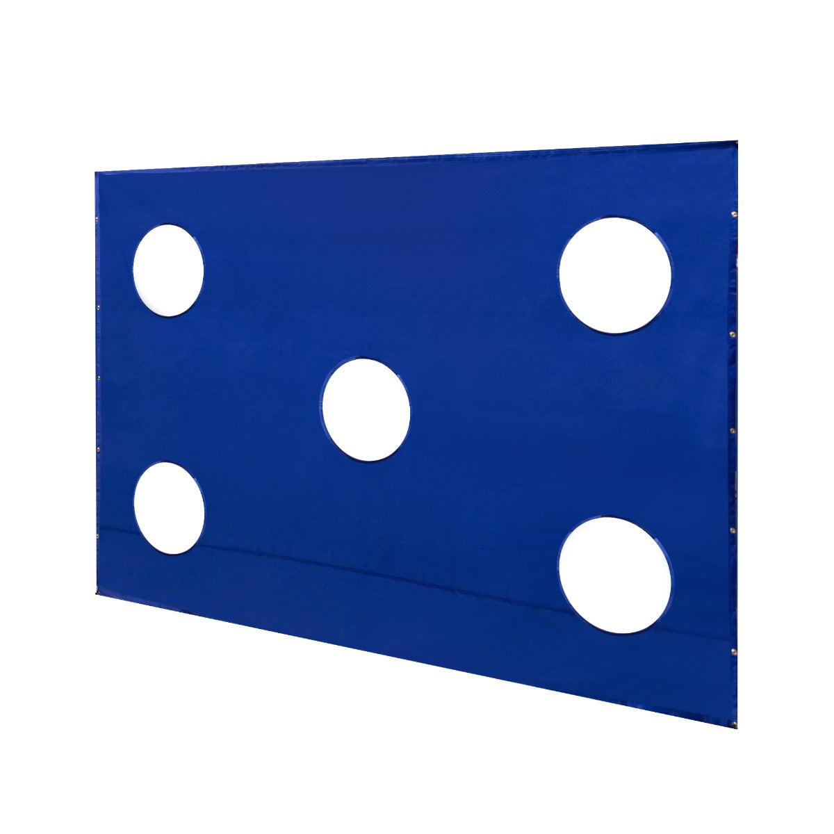 Blauw voetbaldoel met vijf doelwitten, gemaakt van stevig materiaal, ideaal voor training en precisieschoten in de tuin