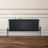 Traditionele 2 Kolom Radiator - 300 x 1012mm - Antraciet Grijs