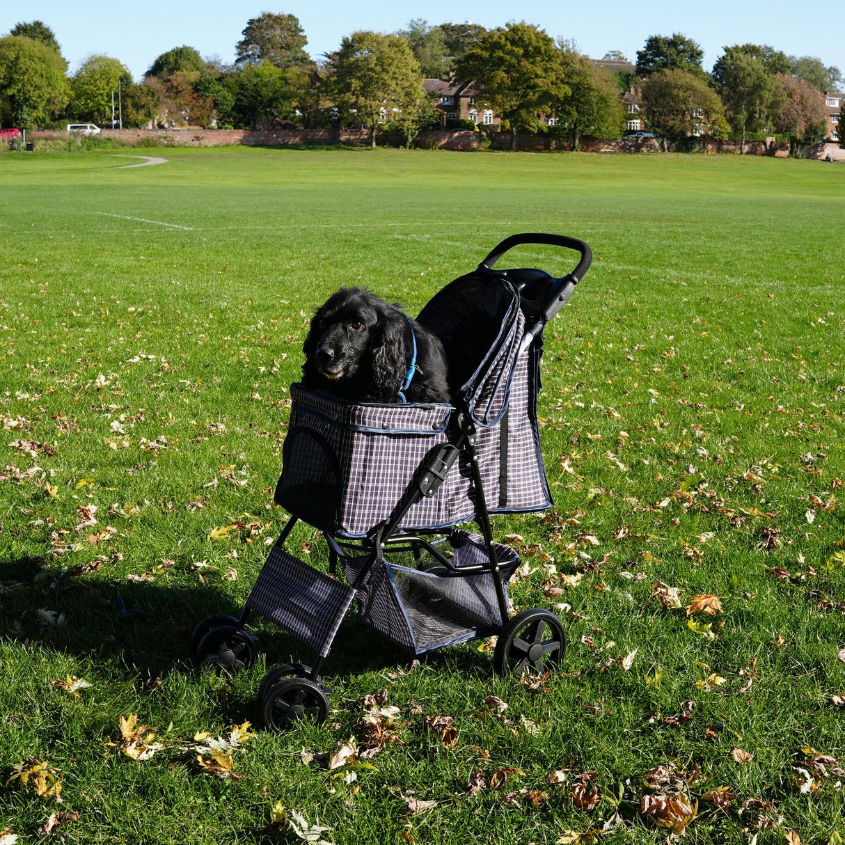 Hondenbuggy met Regenhoes – Ruitblauw