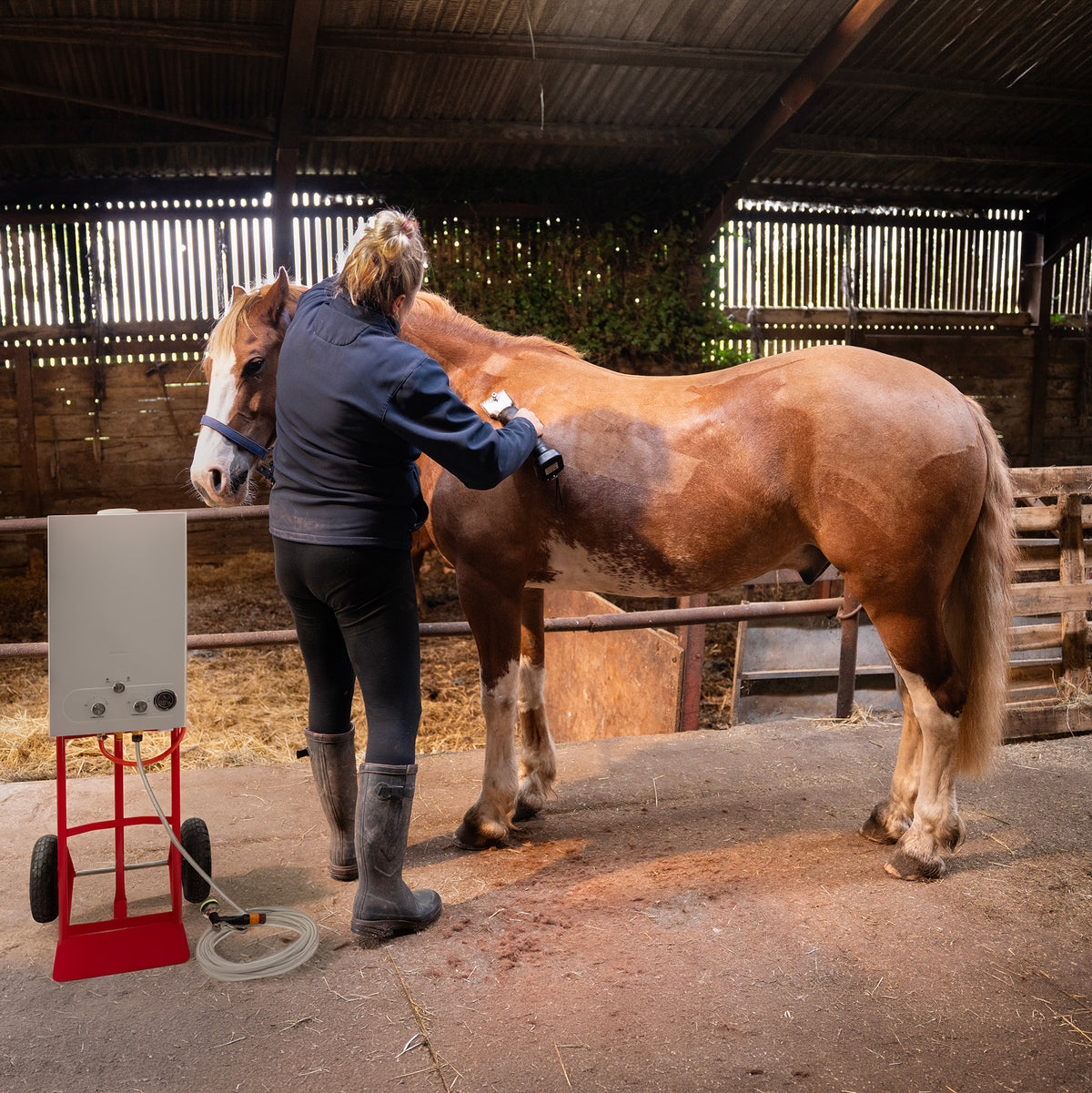 Een vrouw met een zwarte jas borstelt een bruin paard in een stal, met een witte paardendouche en een draadloze tondeuse op de achtergrond