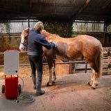 Rode paardendouche met draadloze tondeuse, een vrouw borstelt een bruin paard in een stal met stro en houten omheining