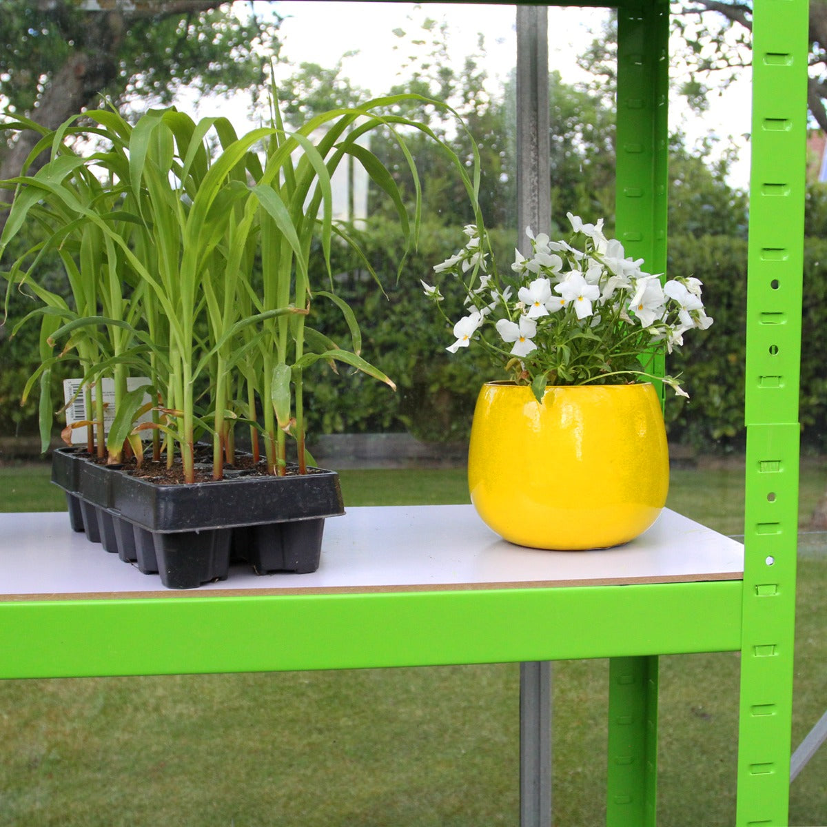 Polytunnel 25mm 4m x 2m met Stellingen