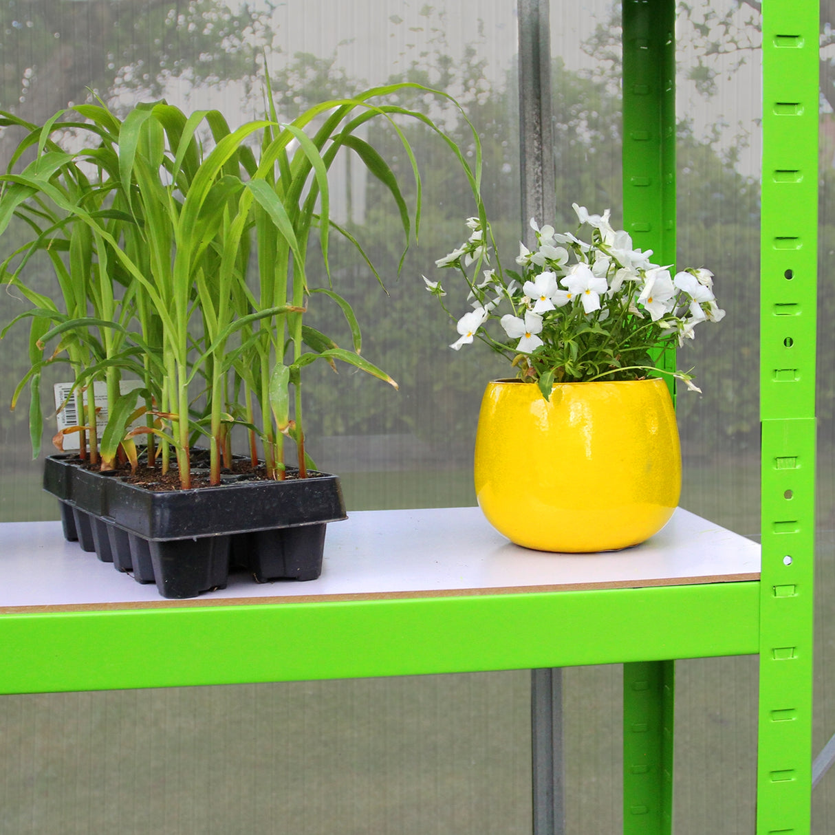 Kweekkas – Plantenkas – 1.8m x 3m - Zonder basis