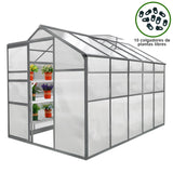 Kweekkas – Plantenkas – 1.8m x 3m - Zonder basis