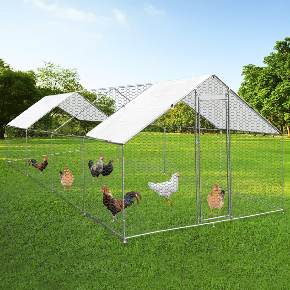Kippenren Vrijstaand 3m x 8m x 2m