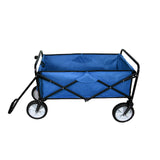 All-terrain festival- en Stranddranktrolley Blauw