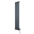 Ovale design radiator in antraciet grijs, 1 kolom, 1800 mm x 360 mm, met haakse thermostaatkraan en strakke lijnen