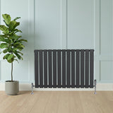 Design radiator met vlakke panelen in antraciet grijs, 1 kolom, 600 x 910mm, geplaatst tegen een lichte wand met een groene plant ernaast