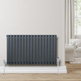 Ovale design radiator in antraciet grijs, 1 kolom, 600 mm x 1020 mm, met strakke lijnen en moderne uitstraling, geplaatst tegen een lichte muur