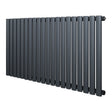 Ovale design radiator in antraciet grijs, 1 kolom, 600 mm x 1200 mm, met een moderne, strakke uitstraling en gladde afwerking