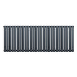 Ovale design radiator in antraciet grijs, 1 kolom, 600 mm x 1620 mm, met een strakke, moderne uitstraling en gladde afwerking