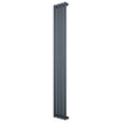 Ovale design radiator in antraciet grijs, 1 kolom, 1600 mm x 240 mm, met een strakke, moderne uitstraling en gladde afwerking