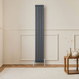 Ovale design radiator in antraciet grijs, 1 kolom, 1600 mm x 240 mm, met een strakke, moderne uitstraling in een lichte kamer