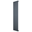 Ovale design radiator in antraciet grijs, 1 kolom, met een slank en modern uiterlijk, ideaal voor stijlvolle verwarming in elke ruimte