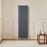 Ovale design radiator in antraciet grijs, met één kolom en een hoogte van 1600 mm, geplaatst tegen een lichte muur in een moderne ruimte