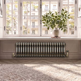 Traditionele Radiator - 2-Kolom - 300 x 1010 mm - Ruw Metaal