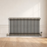 Traditionele Radiator - 2-Kolom - 600 x 1010 mm - Ruw Metaal