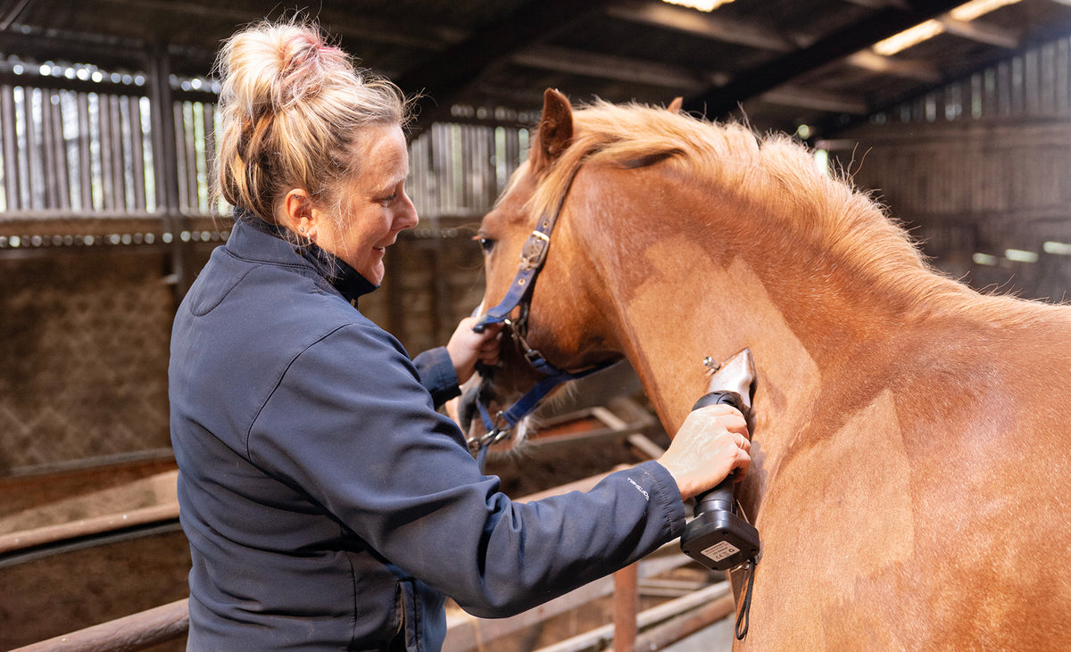 Een vrouw met een paardenknipmachine trimt de vacht van een kastanjebruin paard in een houten stal met een warme, natuurlijke uitstraling