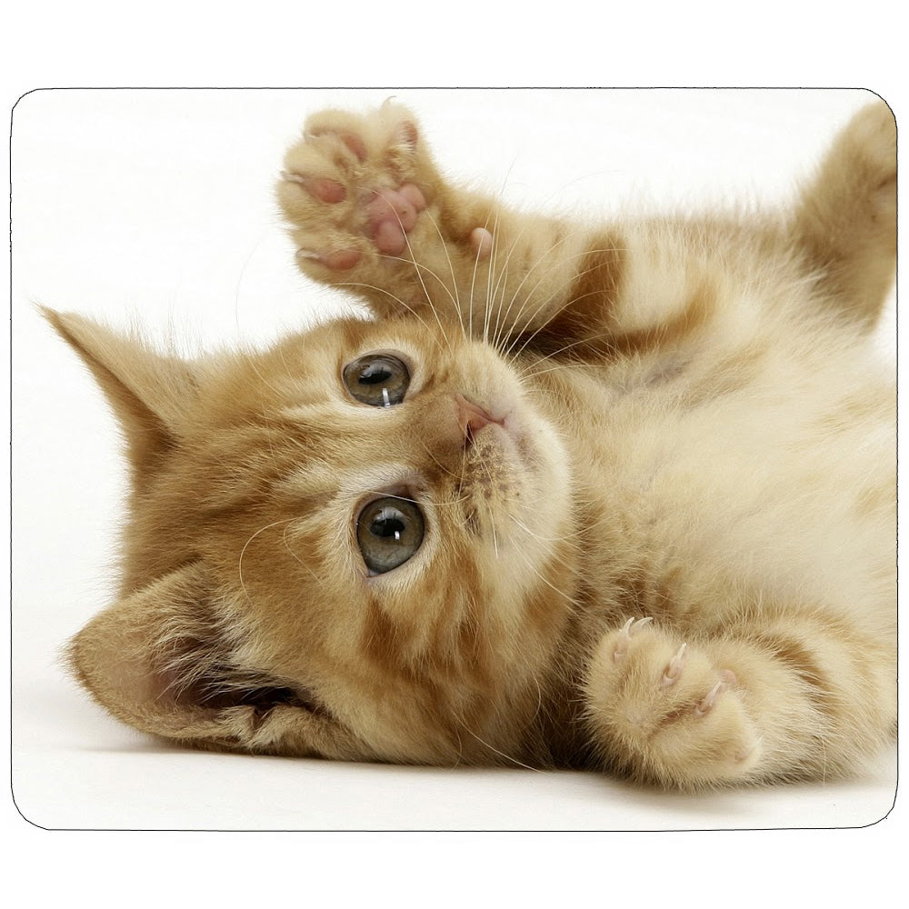 PixMax Sublimatie Muismatten (10-pack)