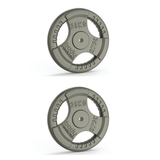 Gietijzeren halterschijven van 25 kg met tri-grip handvatten, grijze kleur, robuuste textuur, ideaal voor gewichtstraining