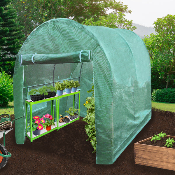 Polytunnel 19mm 4m x 2m met Stellingen
