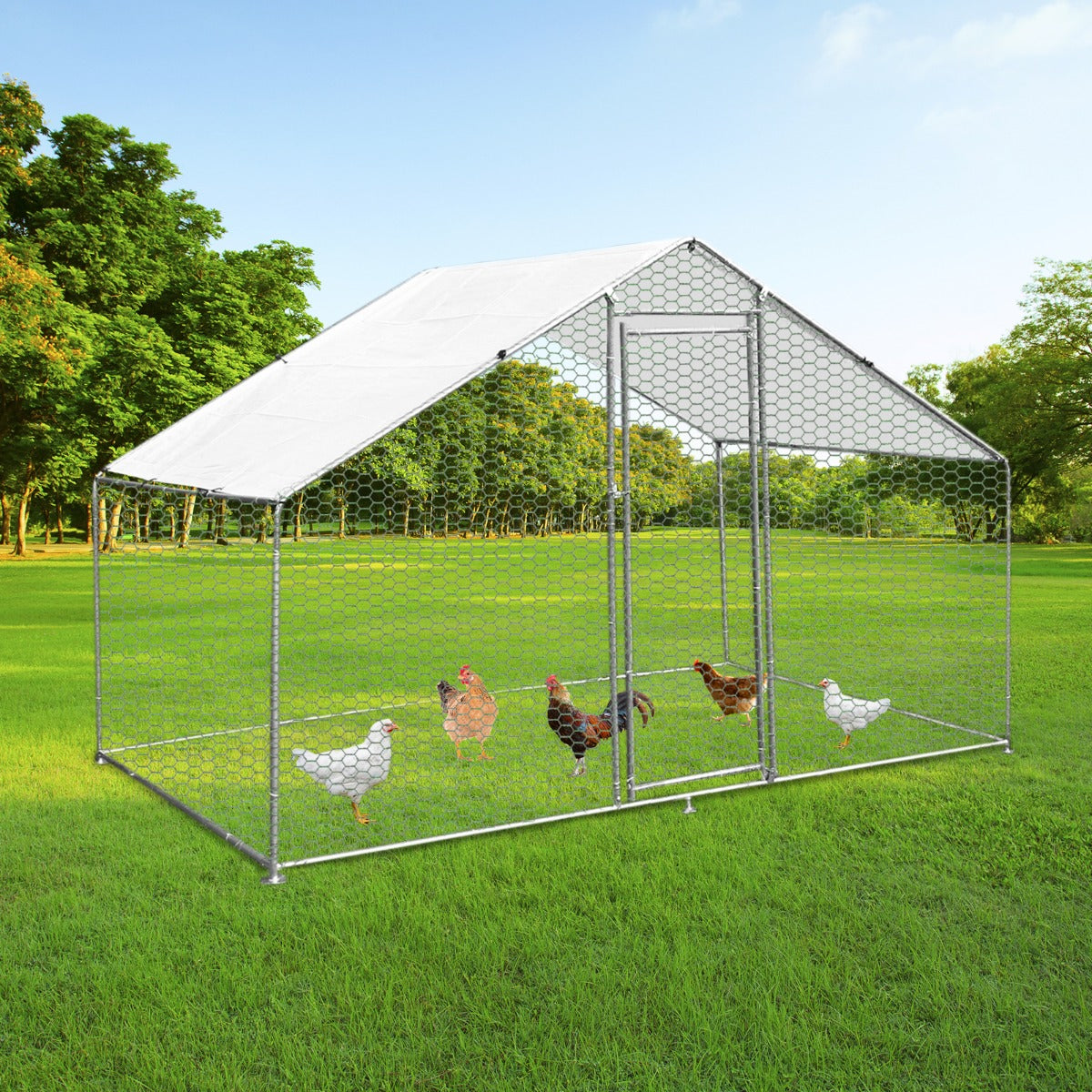 Kippenren Vrijstaand 4m x 2m x 2m